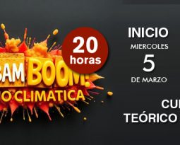 CURSO TEÓRICO PRÁCTICO_BIM BAM BOOM BIOCLIMATICA. INICIO 5 MARZO 2025