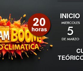 CURSO TEÓRICO PRÁCTICO_BIM BAM BOOM BIOCLIMATICA. INICIO 5 MARZO 2025